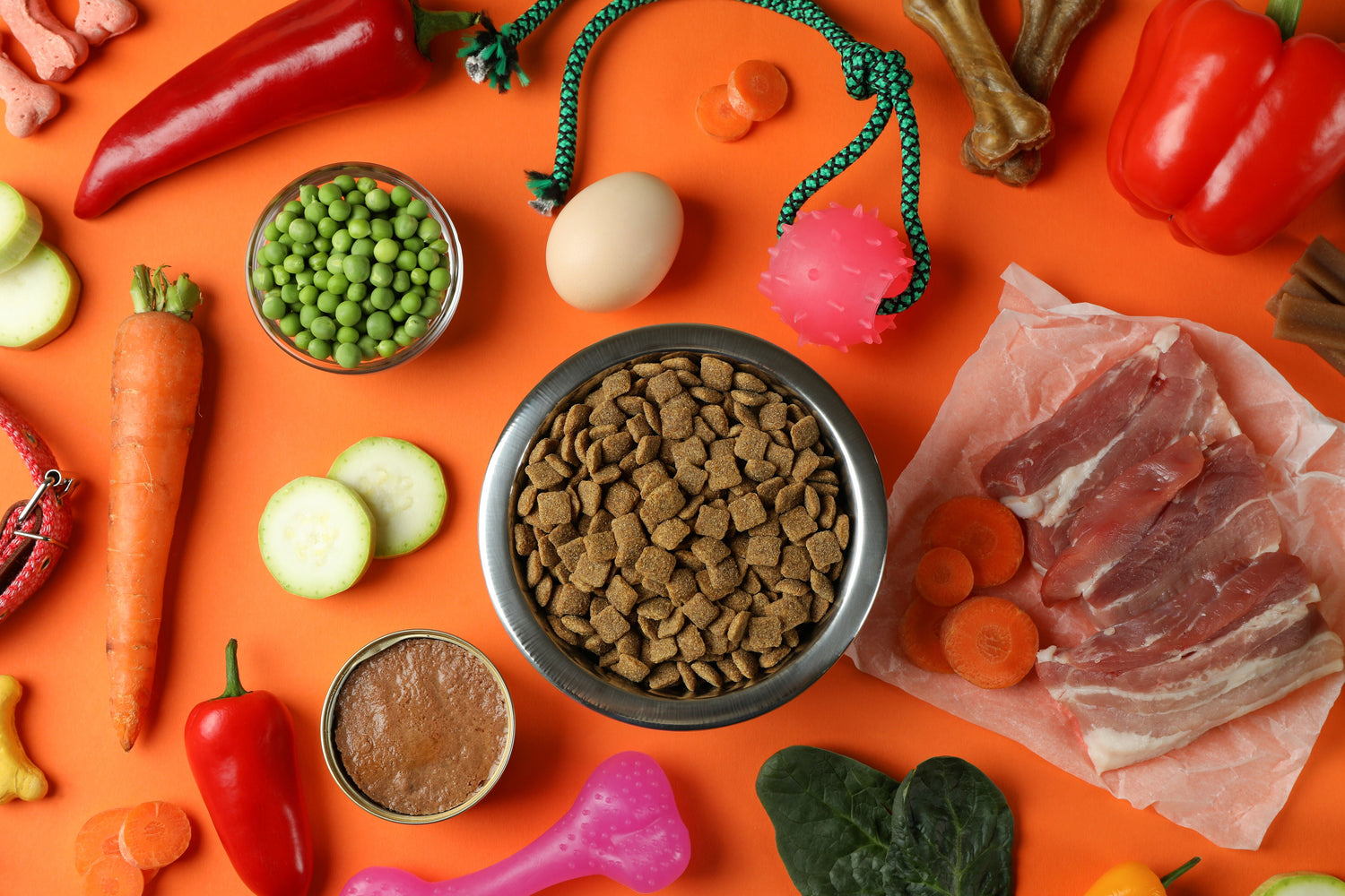 variety of dog food with kibble, proteins, and vegetables