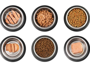 Assortment of kibble, raw, and home-cooked foods showing how THRIVE fits seamlessly into any canine diet.