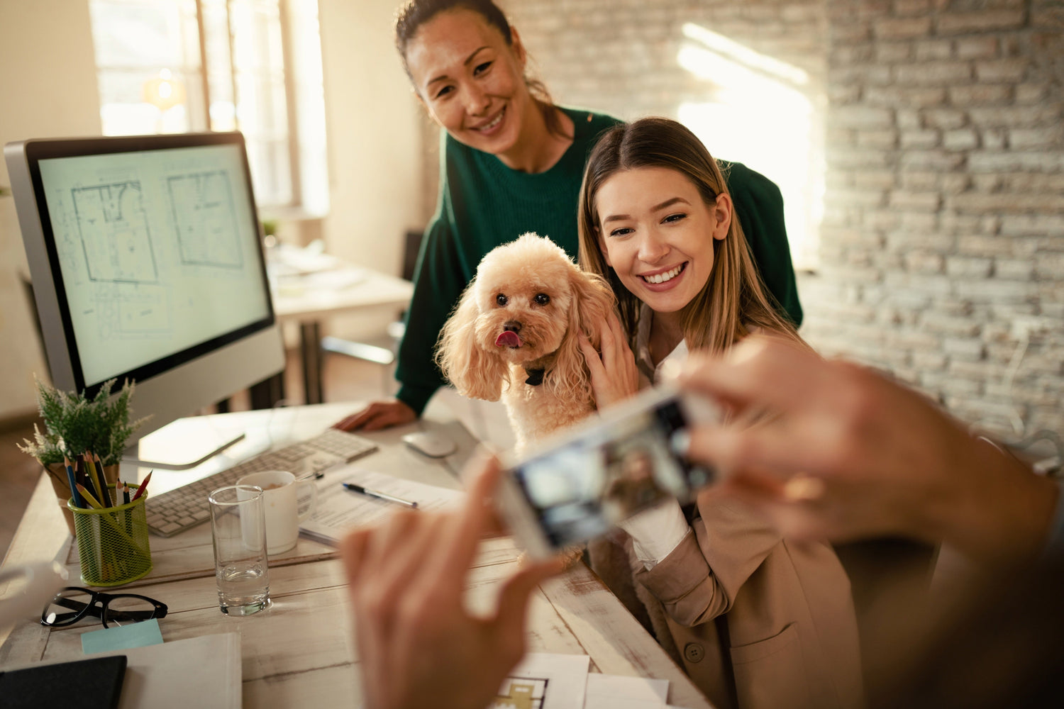 Happy businesswomen and their dog being photographed in the office.