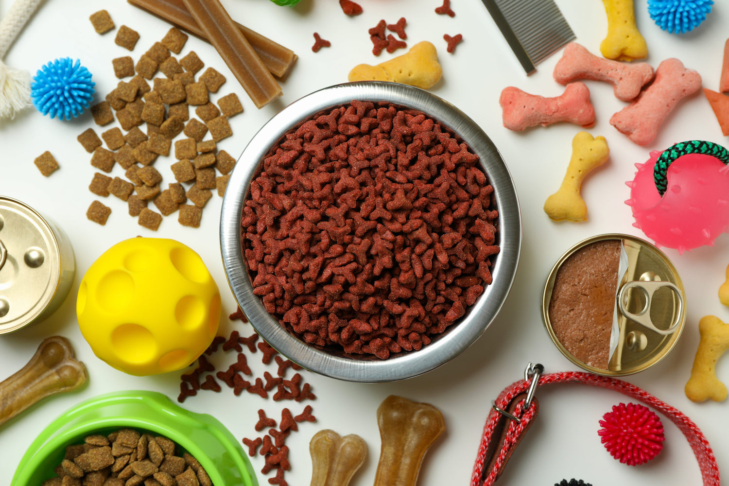 Variety of dog food showing treats, kibble, and wet food