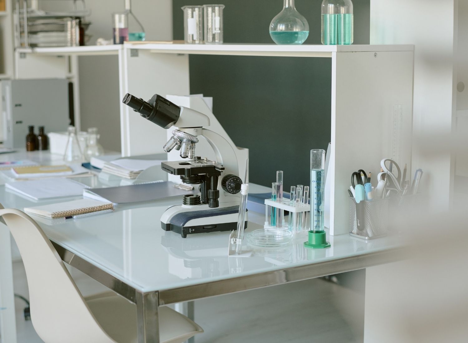 Modern laboratory workspace with microscope and glassware, reflecting THRIVE’s science-based approach to canine longevity and healthy aging.