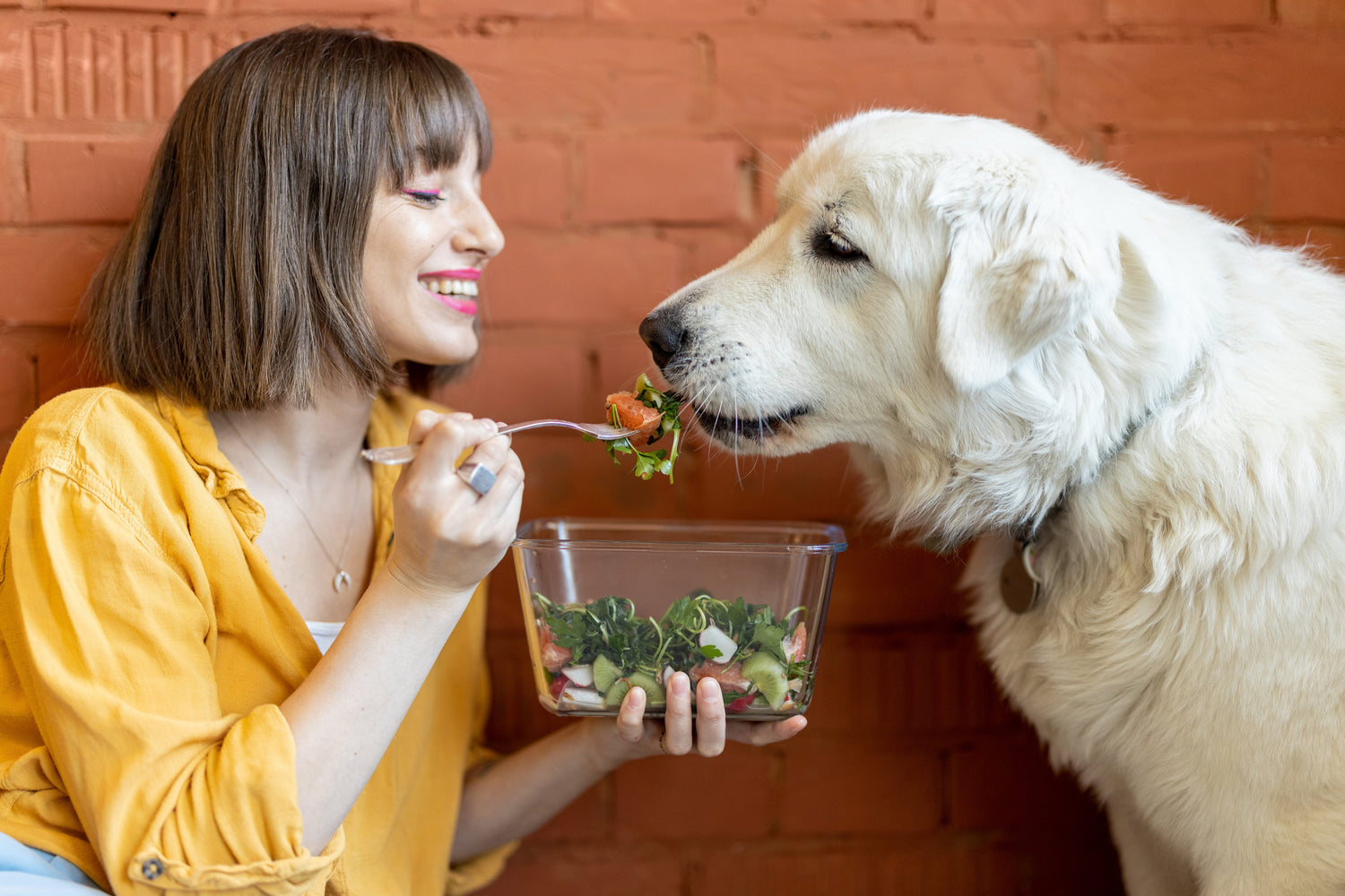 woman feeding her cute dog with salad indoors